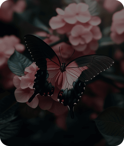 Butterfly on flowers